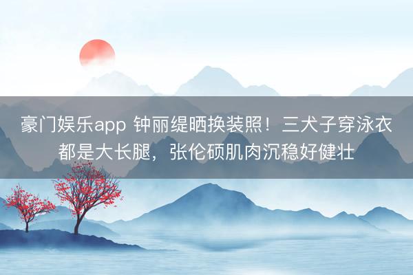 豪门娱乐app 钟丽缇晒换装照！三犬子穿泳衣都是大长腿，张伦硕肌肉沉稳好健壮
