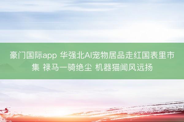 豪门国际app 华强北AI宠物居品走红国表里市集 禄马一骑绝尘 机器猫闻风远扬
